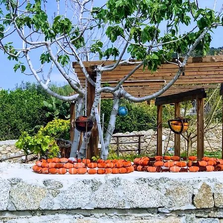 Apartahotel Michelino Parghelia