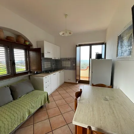 Michelino 파르겔리아