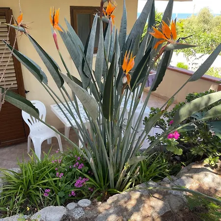 아파트호텔 Michelino 파르겔리아