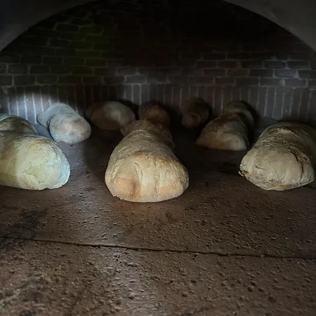 아파트호텔 Michelino 파르겔리아