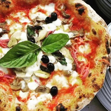 Michelino 4* Parghelia