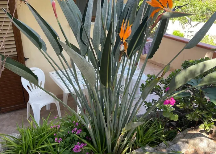 Aparthotel Michelino Parghelia