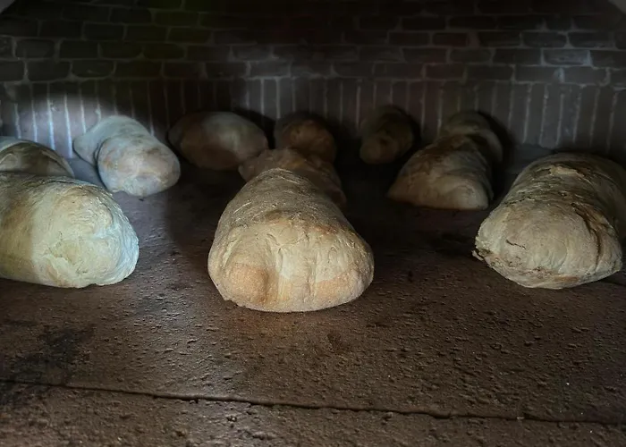 Aparthotel Michelino Parghelia